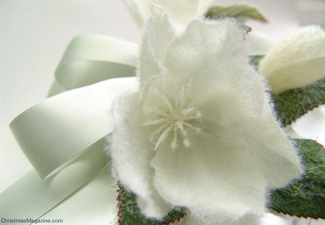 Hellebores, wrapped Christmas gift, white