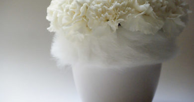 winter white carnations