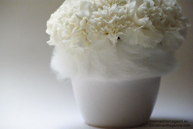 winter white carnations