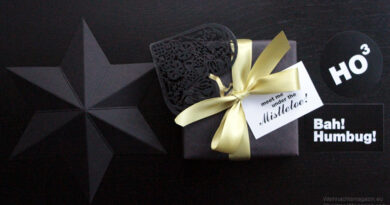 present wrapped black, satin ribbon, black paper star, gift tags