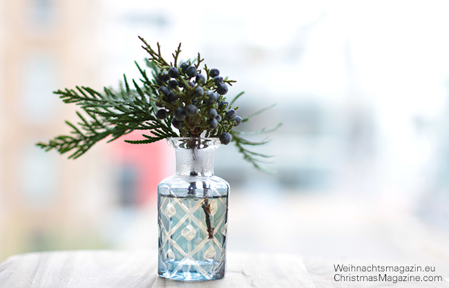 juniper sprig in a tiny vase