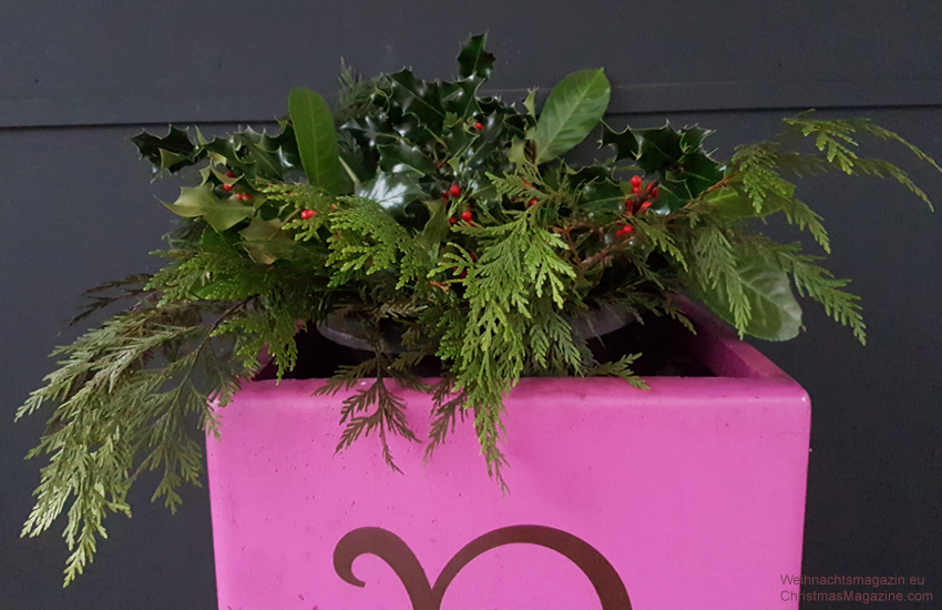 pink flower box with evergreens