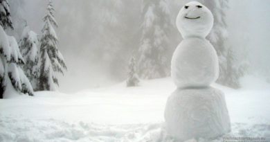 snow man, snowman