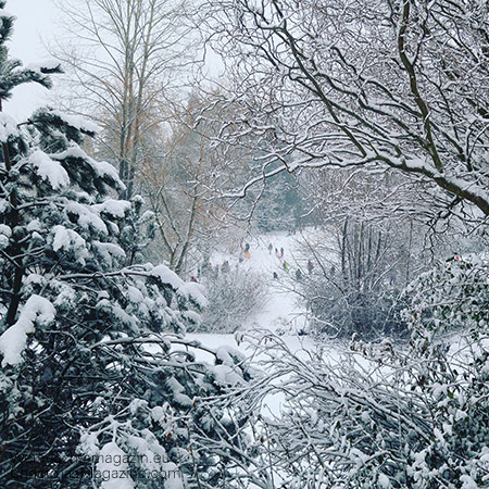 Queen Elizabeth Park, Vancouver