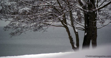 English Bay, Vancouver