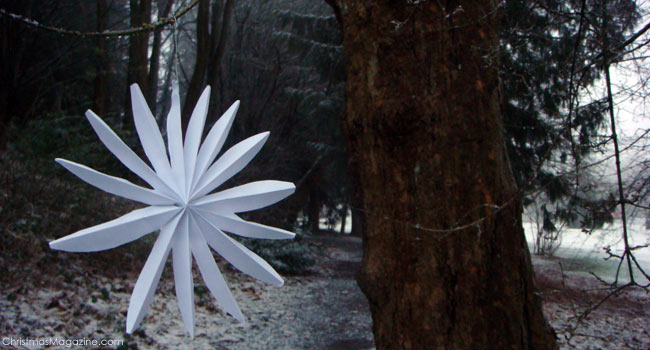 paper star on a tree