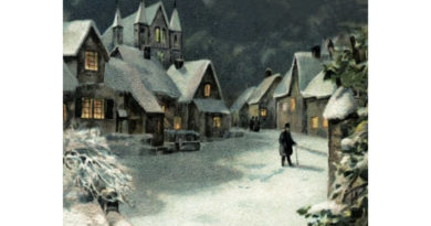 winter village with snow at night
