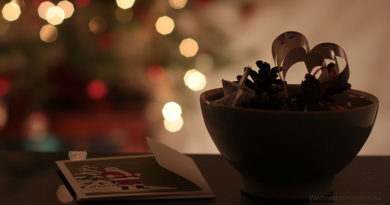 bowl with pine cones and paper heart