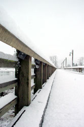 snow covered bridge