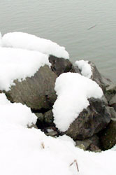 rocks by the Fraser river in winter