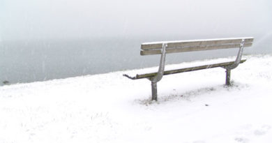 winter in Stanley Park, Vancouver, Canada