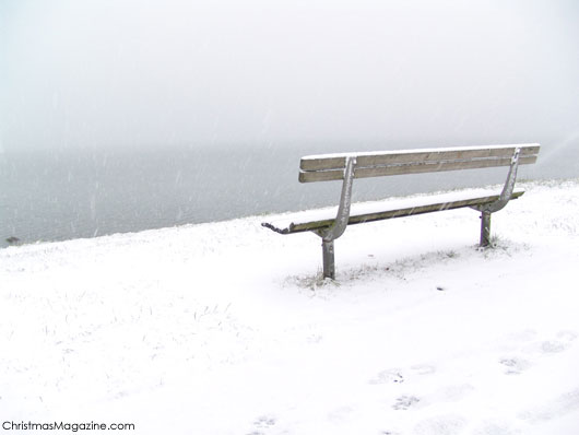 winter in Stanley Park, Vancouver, Canada