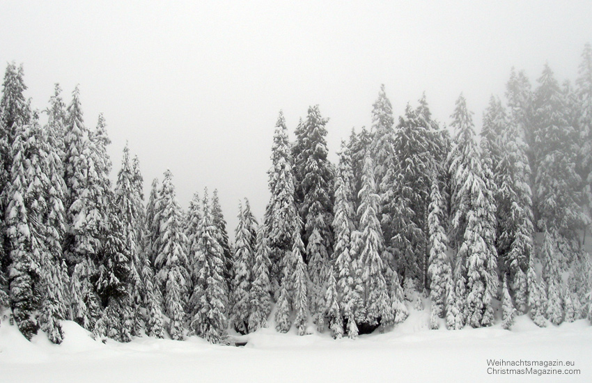 Mount Seymour, snow, winter, snowshoeing