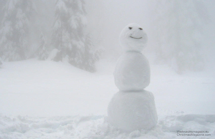 Mount Seymour, snowman, winter, snowshoeing