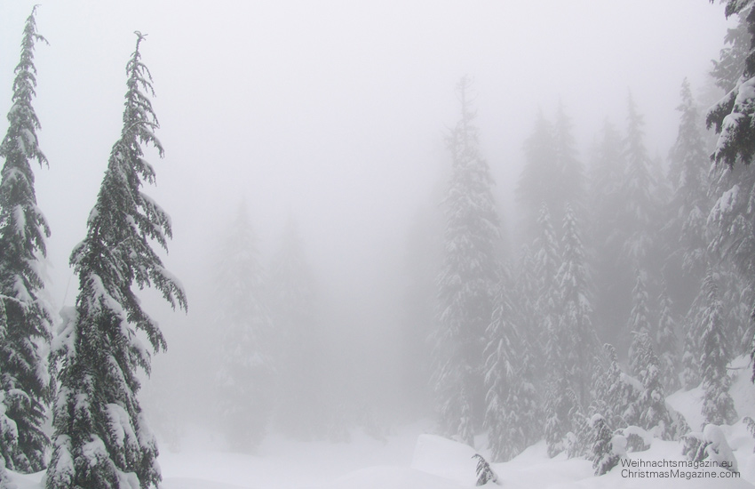 Mount Seymour, snow, winter, snowshoeing