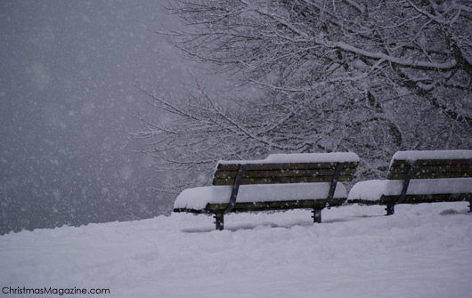 Stanley Park, Vancouver