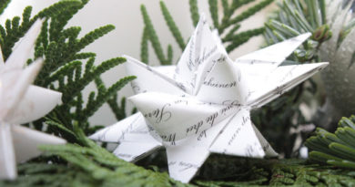 German Christmas star, paper