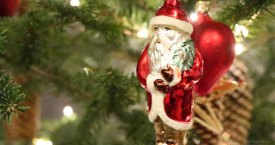 hand blown Christmas tree ornament, Santa, Christmas tree, decorated