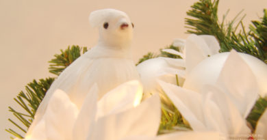 Christmas arrangement, white doves, fairy lights