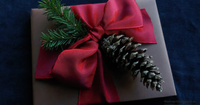 gift wrapped in brown paper, ruby bow, pinecone