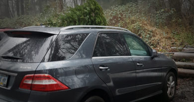 car with Christmas tree on roof