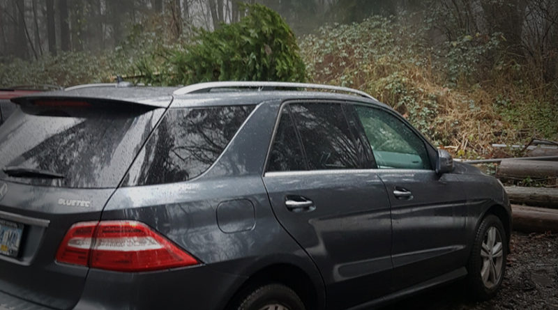 car with Christmas tree on roof