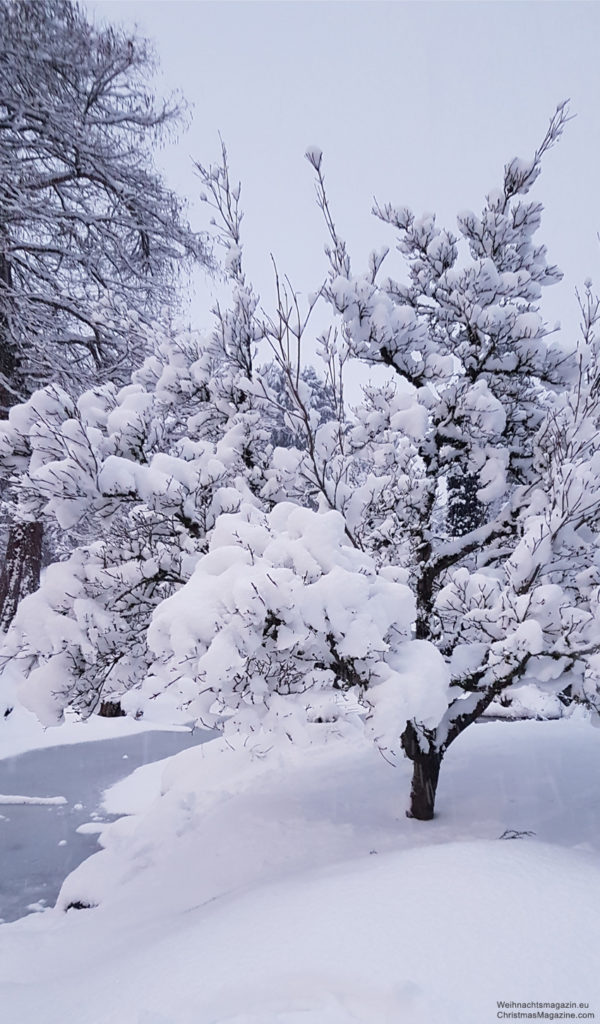 Vancouver, winter, snow, British Columbia, Canada, Queen Elizabeth Park