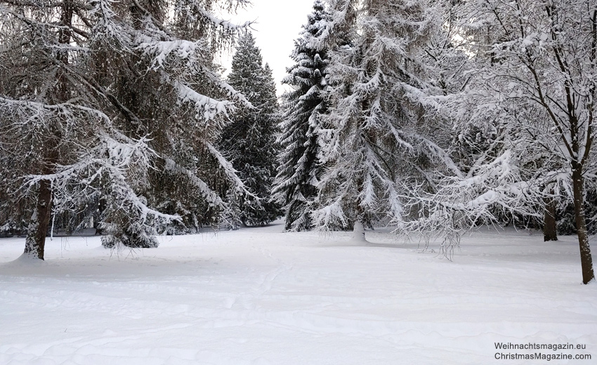 Vancouver, winter, snow, British Columbia, Canada, Queen Elizabeth Park