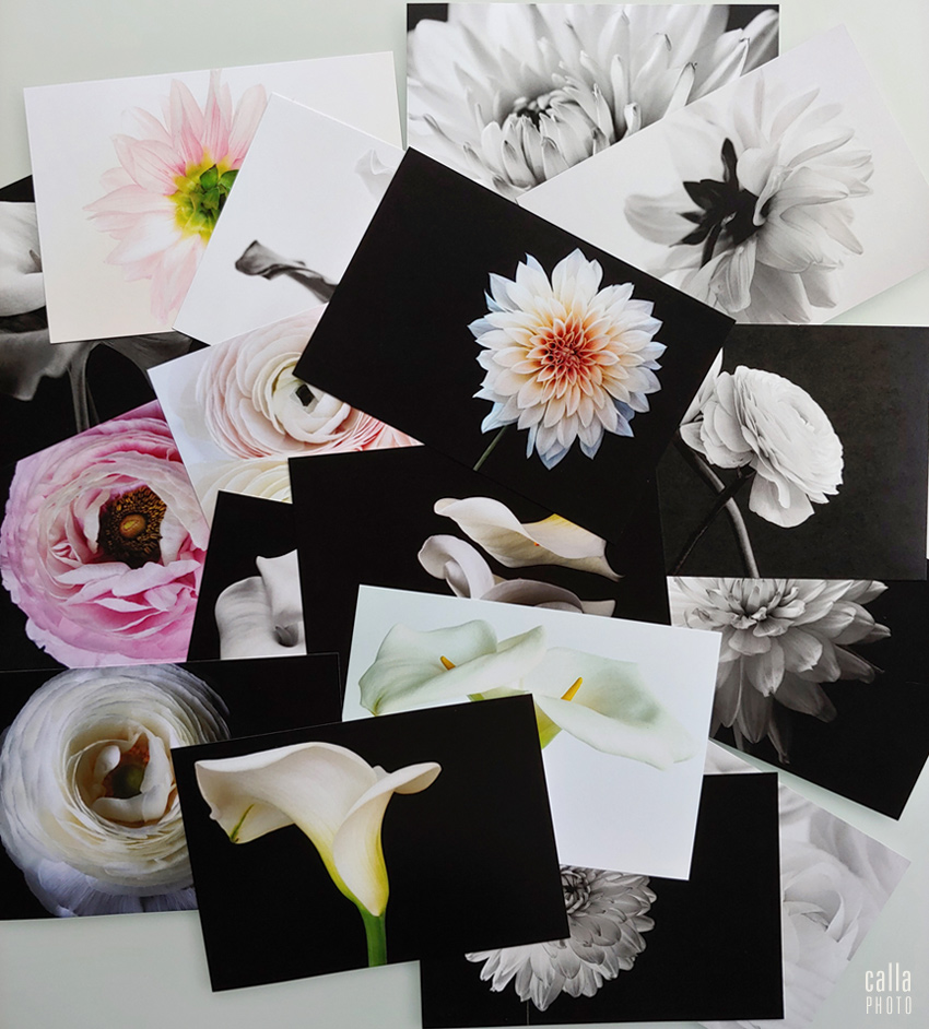 postcards, Etsy, dahlias, calla lilies, ranunculus