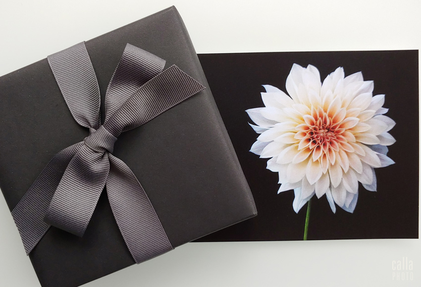 postcards, Etsy, dahlias, fine art photography