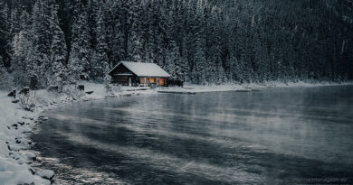 cabin in the woods, winter