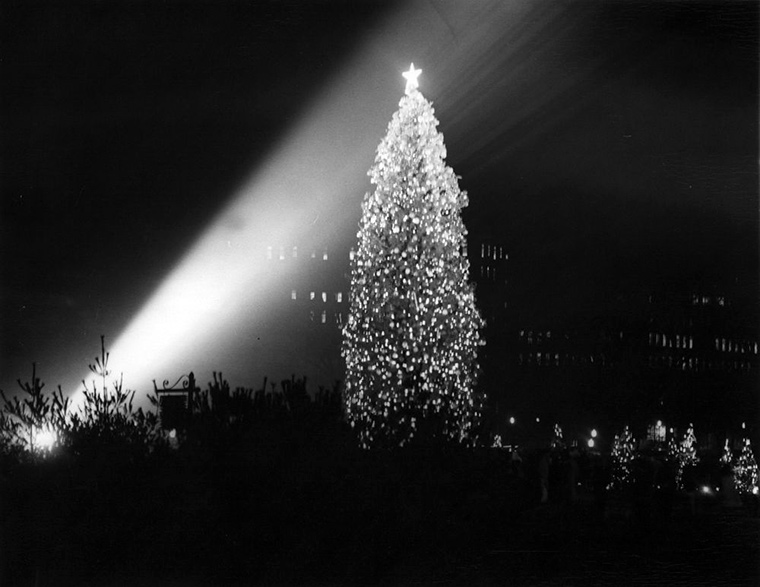 The National Christmas Tree