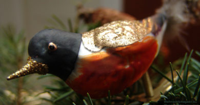 Christmas ornament, bird, Christmas vase