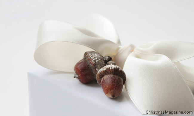 white present, white bow, acorns