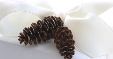 gift decoration, small pinecones, Christmas gift