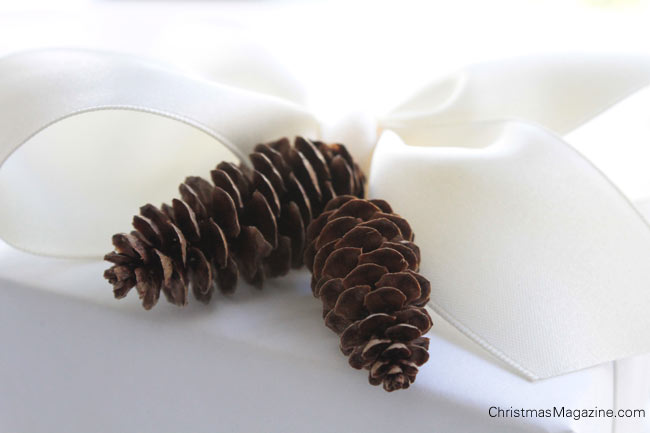 gift decoration, small pinecones, Christmas gift