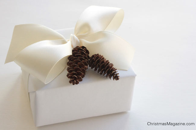 white present, white bow, little pine cones