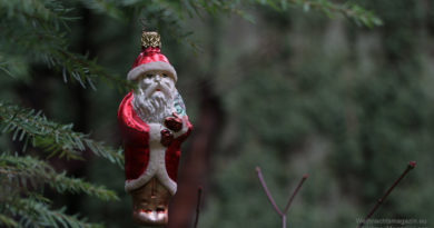 Santa ornament, forest, poem, Robert Frost, Christmas trees