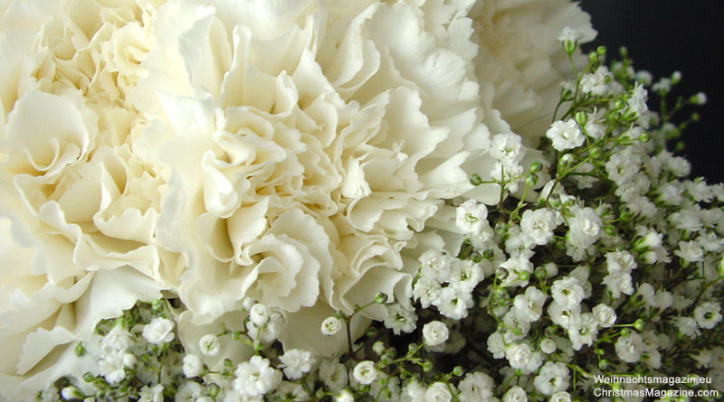 Gypsophila, white flowers, carnations, baby's-breath, Christmas arrangement