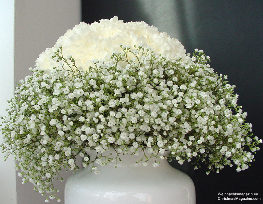 Material  etwa 2 Dutzend weisse Nelken 1 Bund Schleierkraut Blumenschnur Blumenigel wenn vorhanden schlanke, weisse Vase     Anleitung  Die Nelkenstiele anschneiden und alle kleinen Blätter entfernen. Die Blumen zu einer Halbkugel binden, und in die Vase stellen. Ein Blumenigel für die Nelken kann sehr hilfreich sein. Danach das Schleierkraut im Kranz dazustecken.