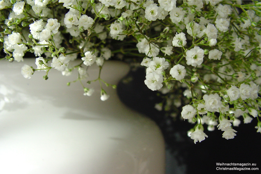 Material  etwa 2 Dutzend weisse Nelken 1 Bund Schleierkraut Blumenschnur Blumenigel wenn vorhanden schlanke, weisse Vase     Anleitung  Die Nelkenstiele anschneiden und alle kleinen Blätter entfernen. Die Blumen zu einer Halbkugel binden, und in die Vase stellen. Ein Blumenigel für die Nelken kann sehr hilfreich sein. Danach das Schleierkraut im Kranz dazustecken.