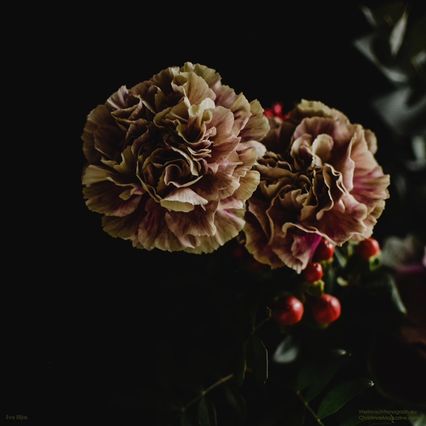 arrangement with a mix of dark flowers, Christmas bouquet, carnations