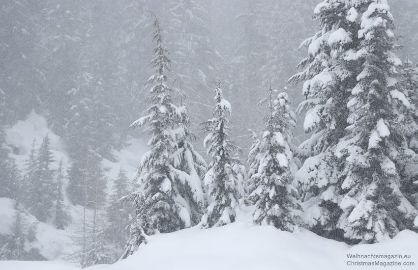 Alta Lake, Whistler, British Columbia, snowfall