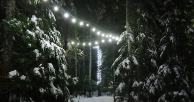 Lights to the Lodge, Cypress Mountain, British Columbia