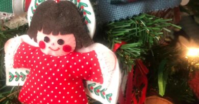 a beautiful handmade Christmas ornament