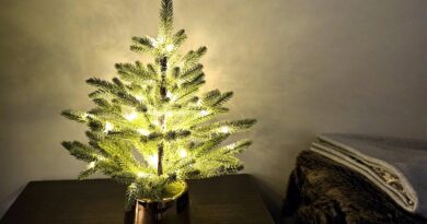 a small artificial Christmas tree with fairy lights