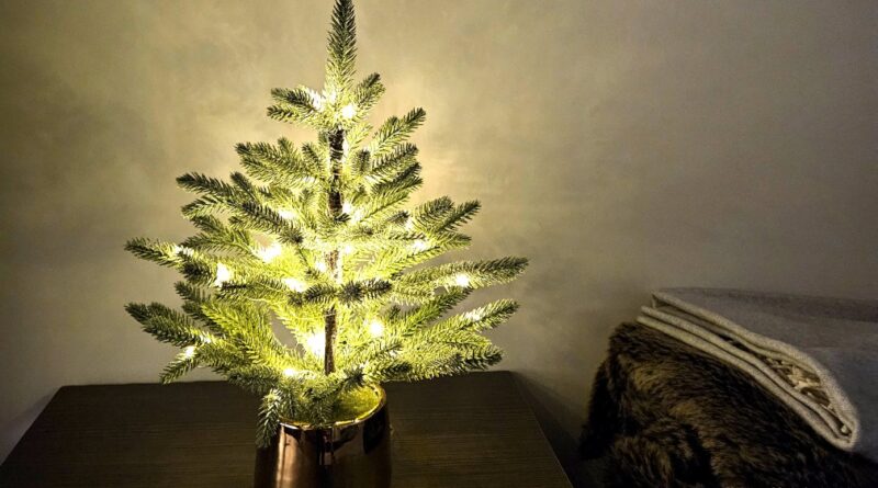 a small artificial Christmas tree with fairy lights